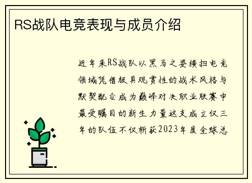 RS战队电竞表现与成员介绍