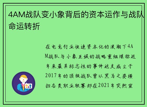 4AM战队变小象背后的资本运作与战队命运转折