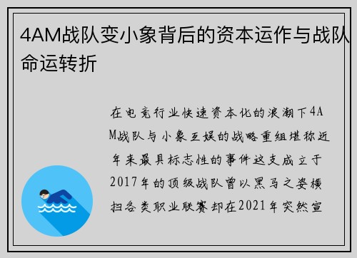 4AM战队变小象背后的资本运作与战队命运转折